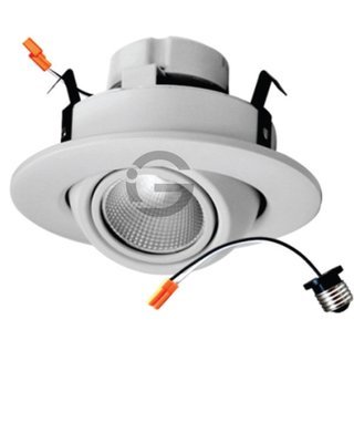 Downlight Series Gimbal - 10W, 4inch