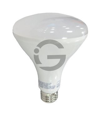 Small Bulb Series - BR30 10W