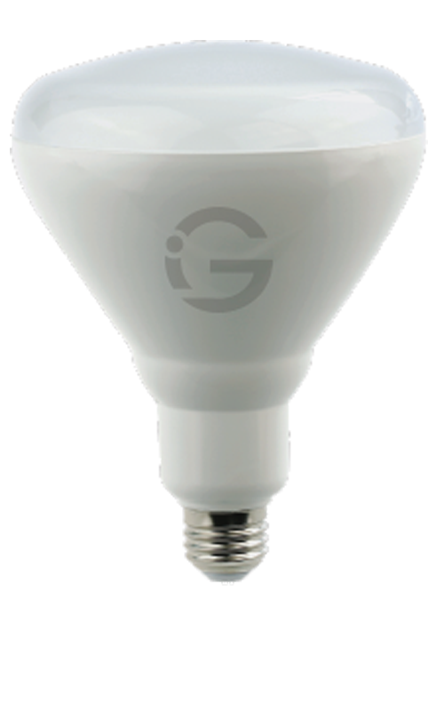 Small Bulb Series - BR40 17W