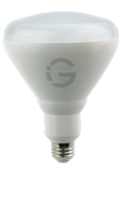 Small Bulb Series - BR40 17W