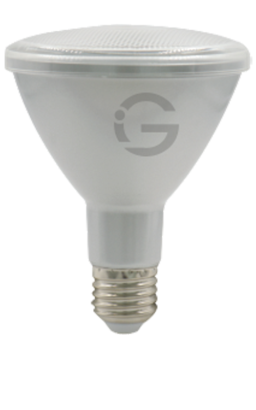 Small Bulb Series - Par30 10W