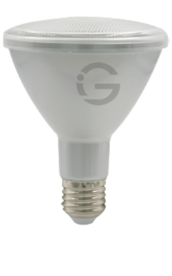 Small Bulb Series - Par30 10W
