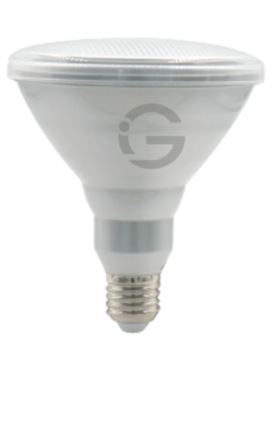 Small Bulb Series - Par38 13W