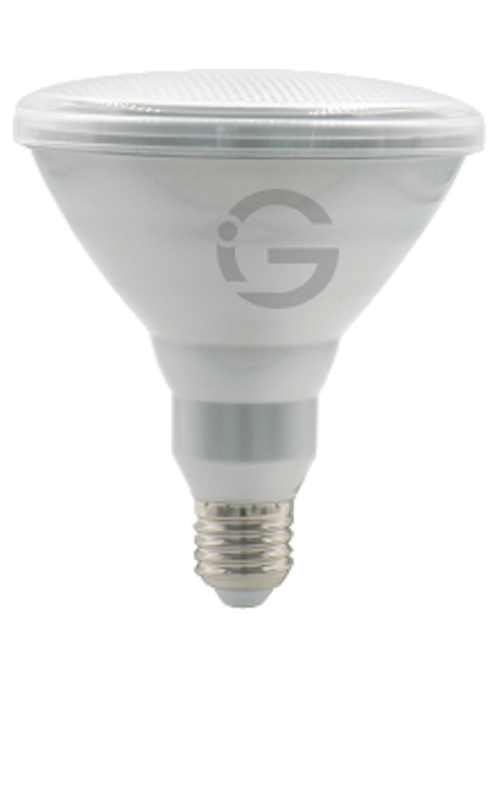 Small Bulb Series - Par38 13W
