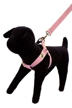 Eco Friendly Bamboo Single Layer Step-In Dog Harness - Seashell