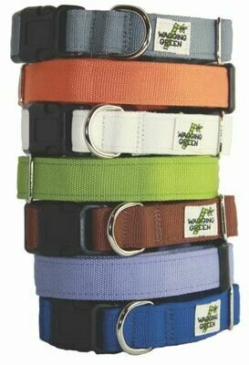 Dog Collars