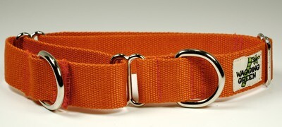 Eco Friendly Bamboo Single Layer Martingale Dog Collar - Falling Leaves
