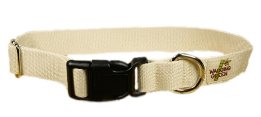 Eco Friendly Bamboo Single Layer Dog Collar - Natural (undyed) (1" Wide Medium - Clearance)