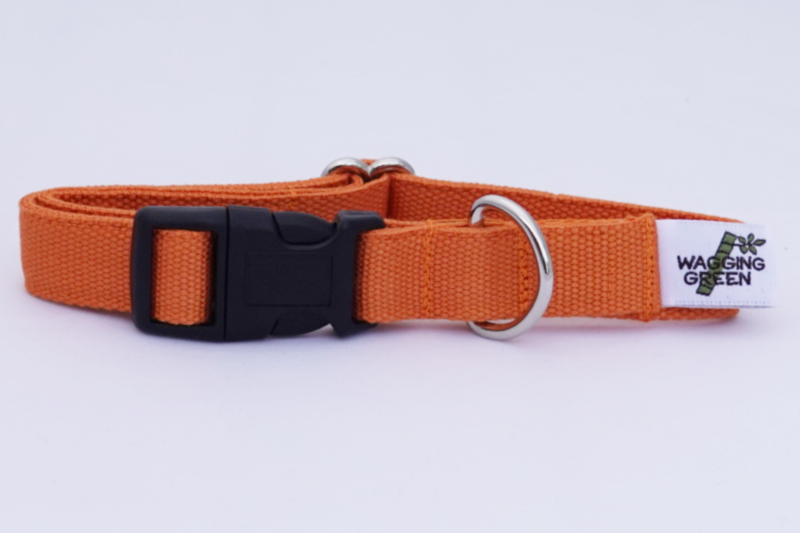 Eco Friendly Bamboo Double Layer Dog Collar - Falling Leaves