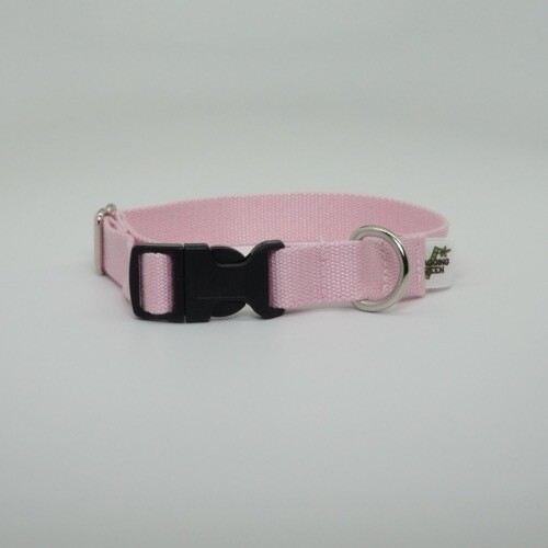 Eco Friendly Bamboo Single Layer Dog Collar - Seashell