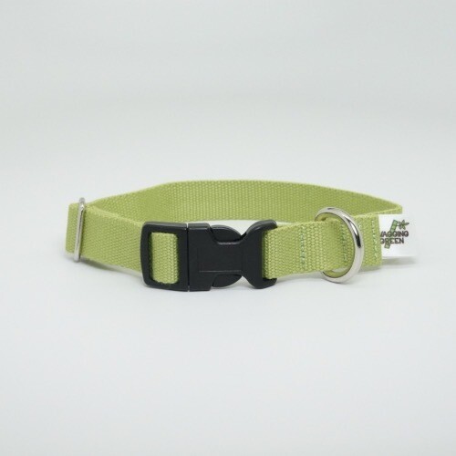 Eco Friendly Bamboo Single Layer Dog Collar - Bamboo Zen