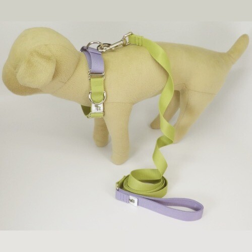 Natural Bamboo Martingale Collar and Leash Set - Mardi Gras