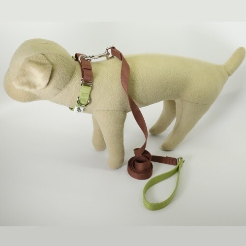 Natural Bamboo Martingale Collar and Leash Set - Woodsy (brown and green)