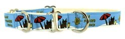 Eco Friendly Bamboo Saving The Earth Series Martingale Collar - Solar Powered Pooch (1&quot; wide Medium - Clearance)