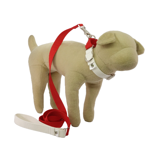 Natural Bamboo Martingale Collar and Leash Set - White Rose (red and white)