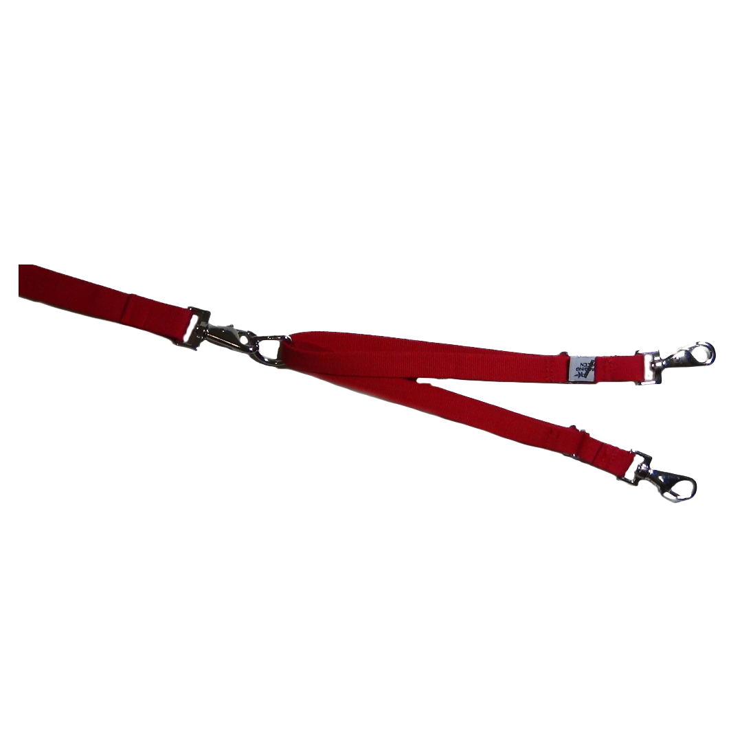 Eco Friendly Bamboo Tandem Leash Accessory - Berry