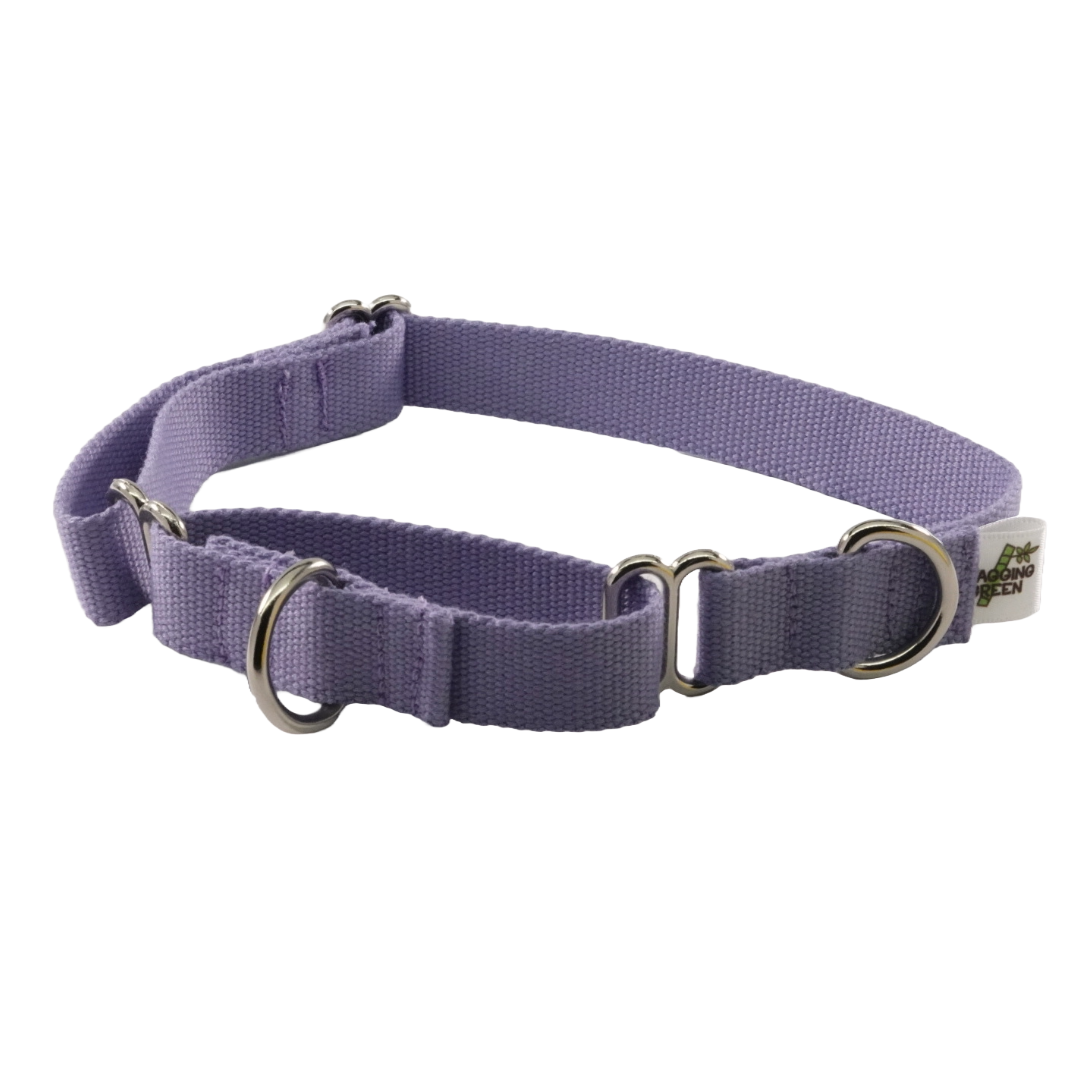 Eco Friendly Bamboo Single Layer Martingale Dog Collar - Spring Lilac