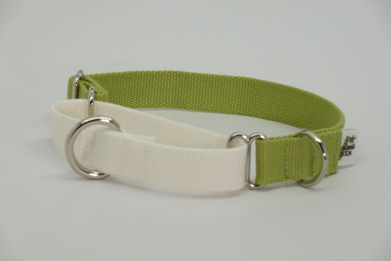 Eco Friendly Bamboo Martingale Dog Collar - Zen Garden (green and natural)