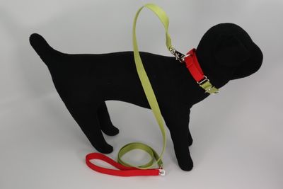 Natural Bamboo Martingale Collar and Leash Set - Yuletide