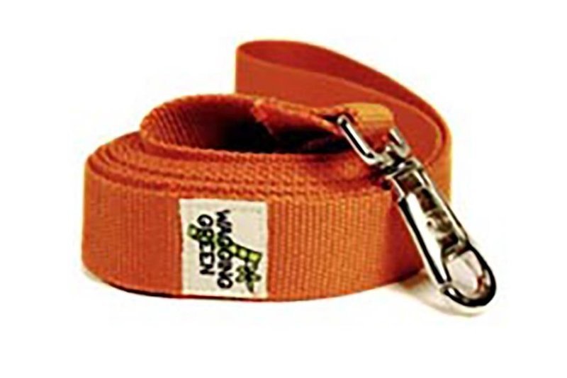 Eco Friendly Bamboo 3/4&quot; Wide 5 Foot Length Single Layer Dog Leash - Falling Leaves (CLEARANCE)
