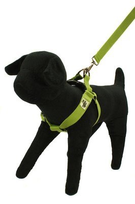 Eco Friendly Bamboo Single Layer Step-In Dog Harness - Bamboo Zen