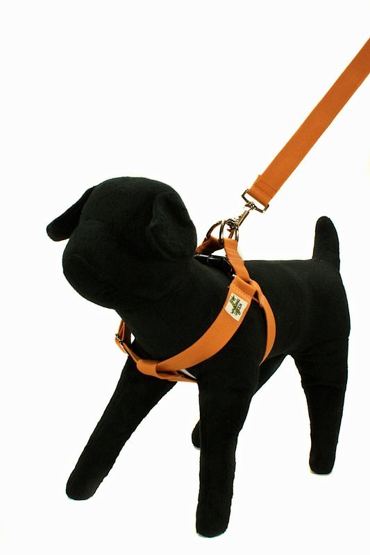 Eco Friendly Bamboo Double Layer Step-In Dog Harness - Falling Leaves