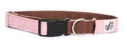 Eco Friendly Bamboo Eco Hip Series Dog Collar - Gulf Coast