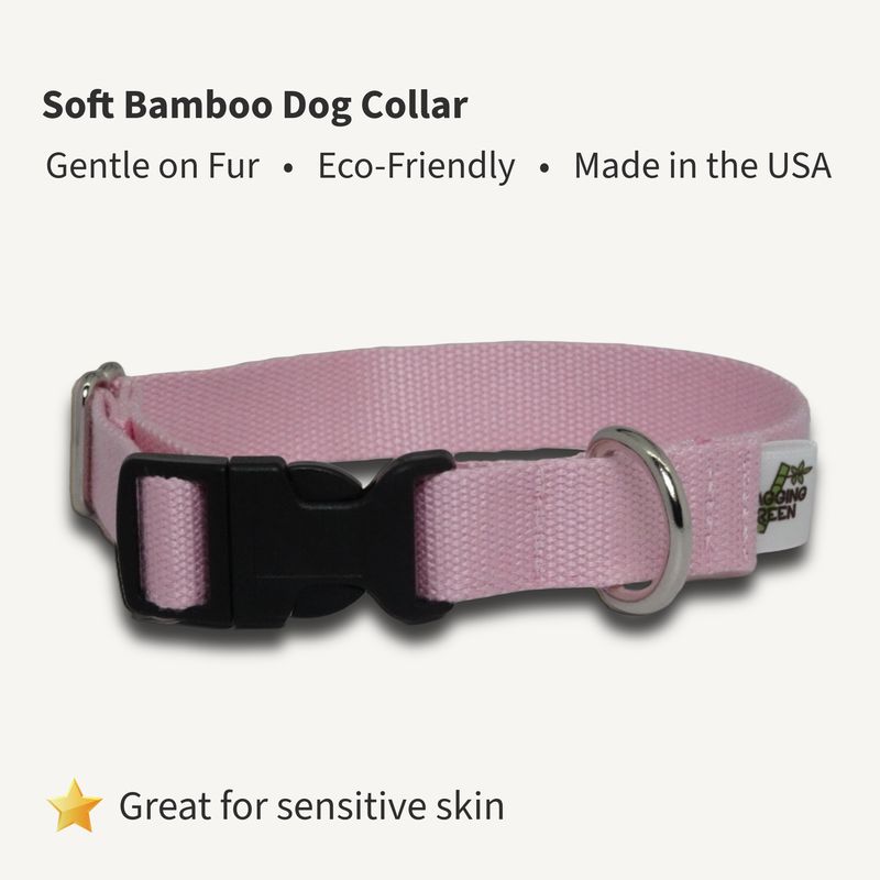 Seashell Bamboo Dog Collar | Soft, Adjustable, Eco Friendly
