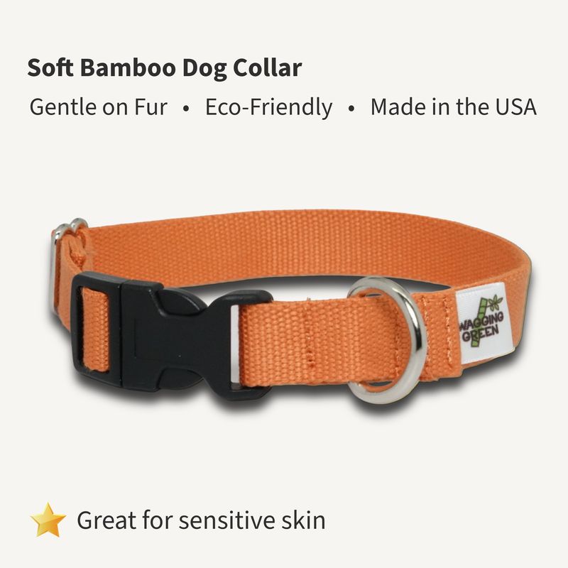 Falling Leaves Bamboo Dog Collar | Soft, Adjustable, Eco-Friendly