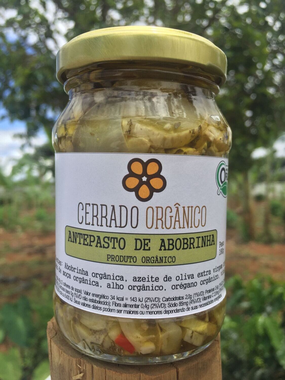 Antepasto de Abobrinha Orgânica