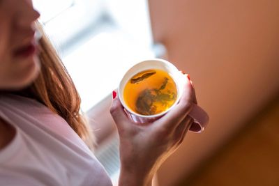 Sistema circulatorio