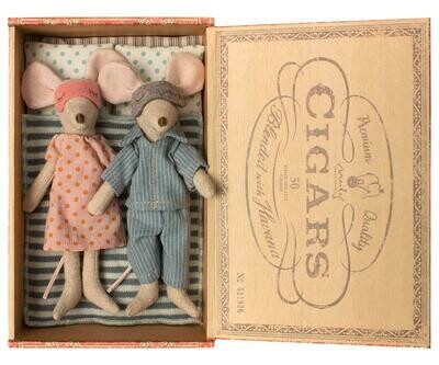 Mum and Dad mice in cigar box