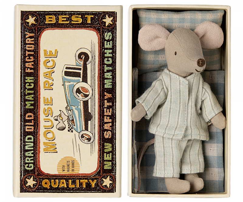 Big brother mouse in box