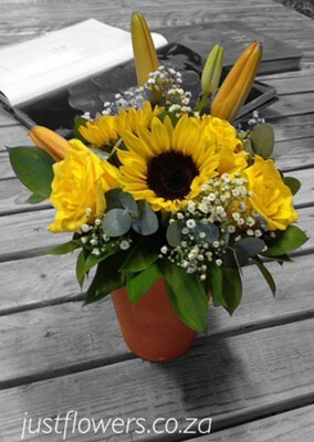 Delightful Sunflowers