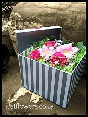 Boxed Flowers