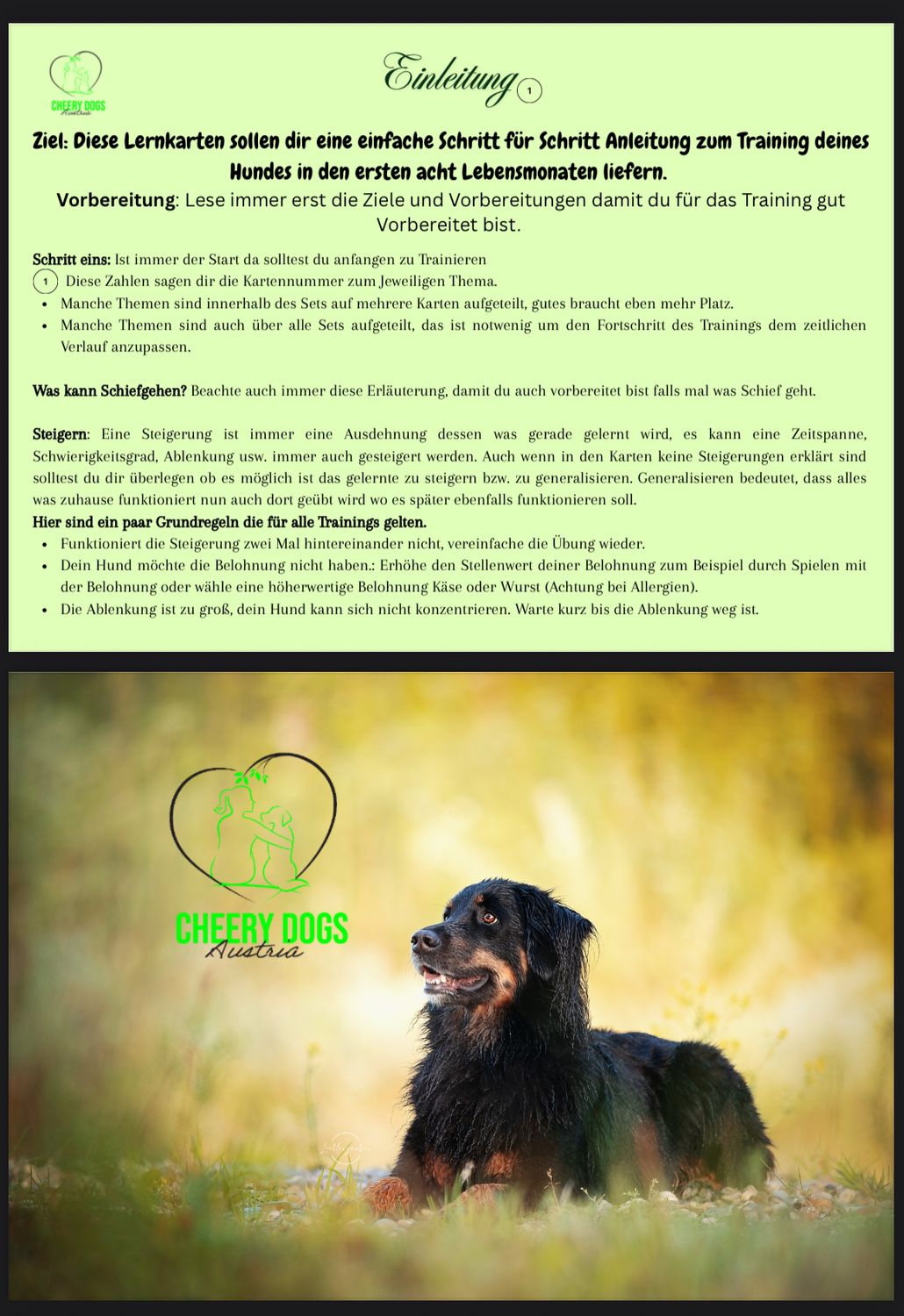 Trainingskarten für Menschen mit Hunde für welpen oder auch als einstieg ins Hundetraining geeignet.