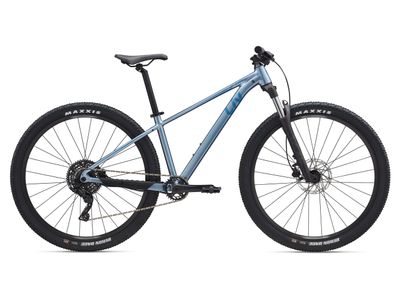 Liv Tempt 29 2 M Frost Silver