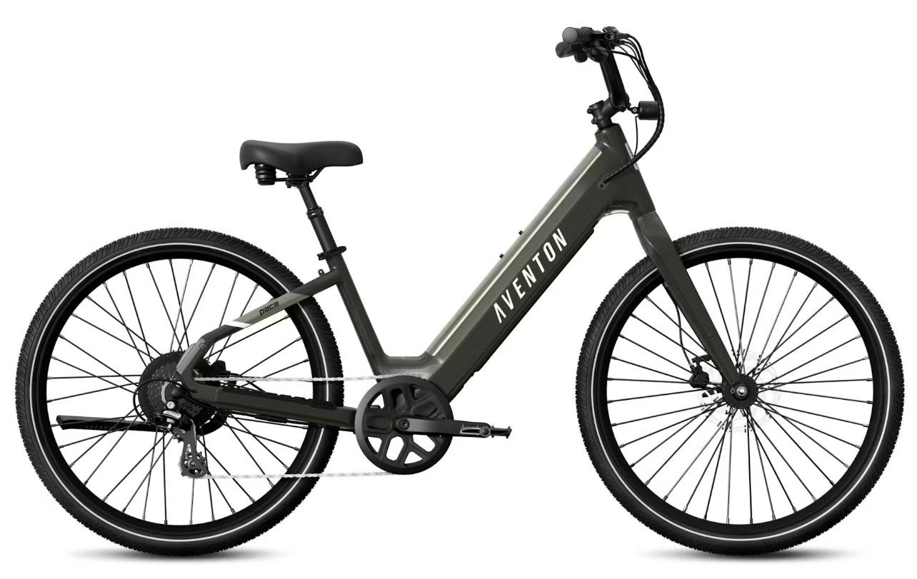 Pace 4 Step-Through Ebike-Flint/L