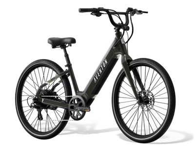 Pace 4 Step-Through Ebike-Flint/L