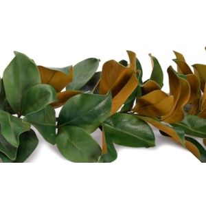 Faux Magnolia Leaf Garland