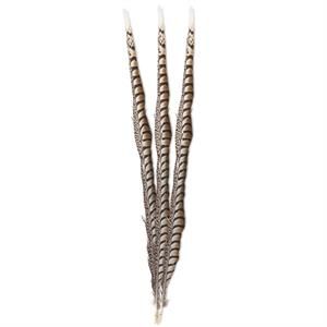 30" Pheasant Feather