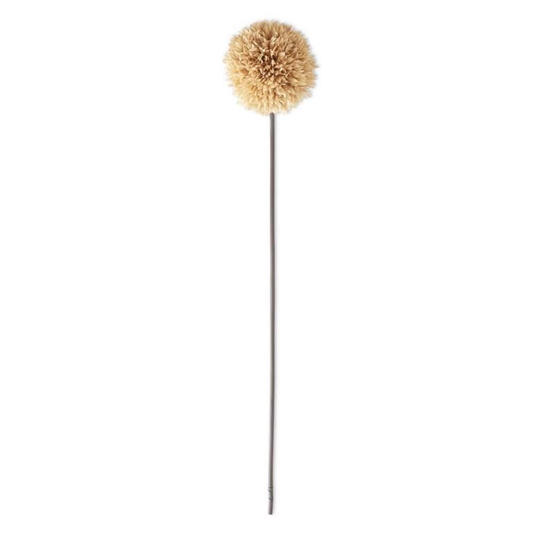 26" Neutral Allium Stem
