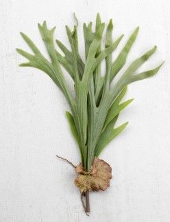 24" Faux Staghorn Fern