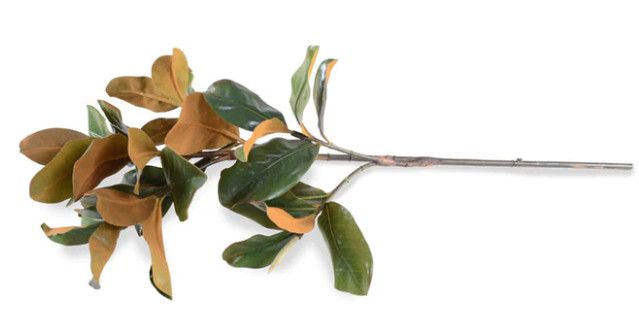 36" Magnolia Leaf Branch