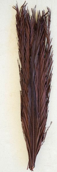 Bundle Of Dark Brown Leaves 43"H