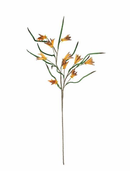 43"H Orange Wild Daisy Bunch
