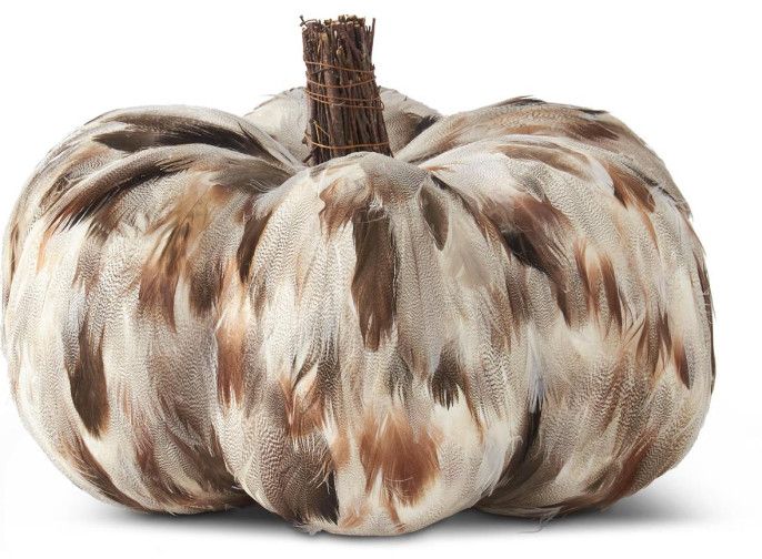 12.25" Brown and White Feathered Pumpkin