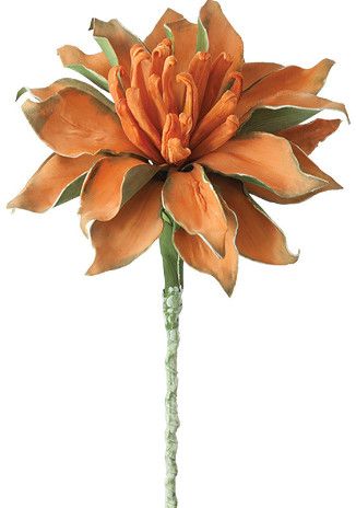 Botanica Orange and Green Stem