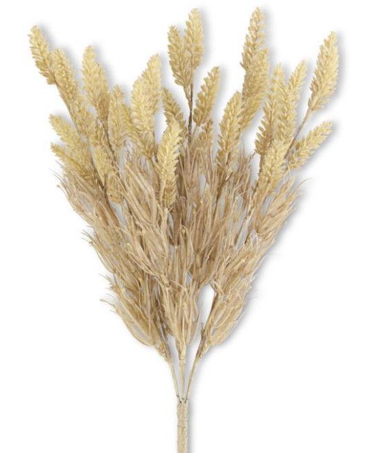 20" Tawny Wheat Stem