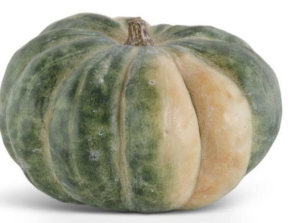 10" Ombre Green and Natural Resin Organic Pumpkin
